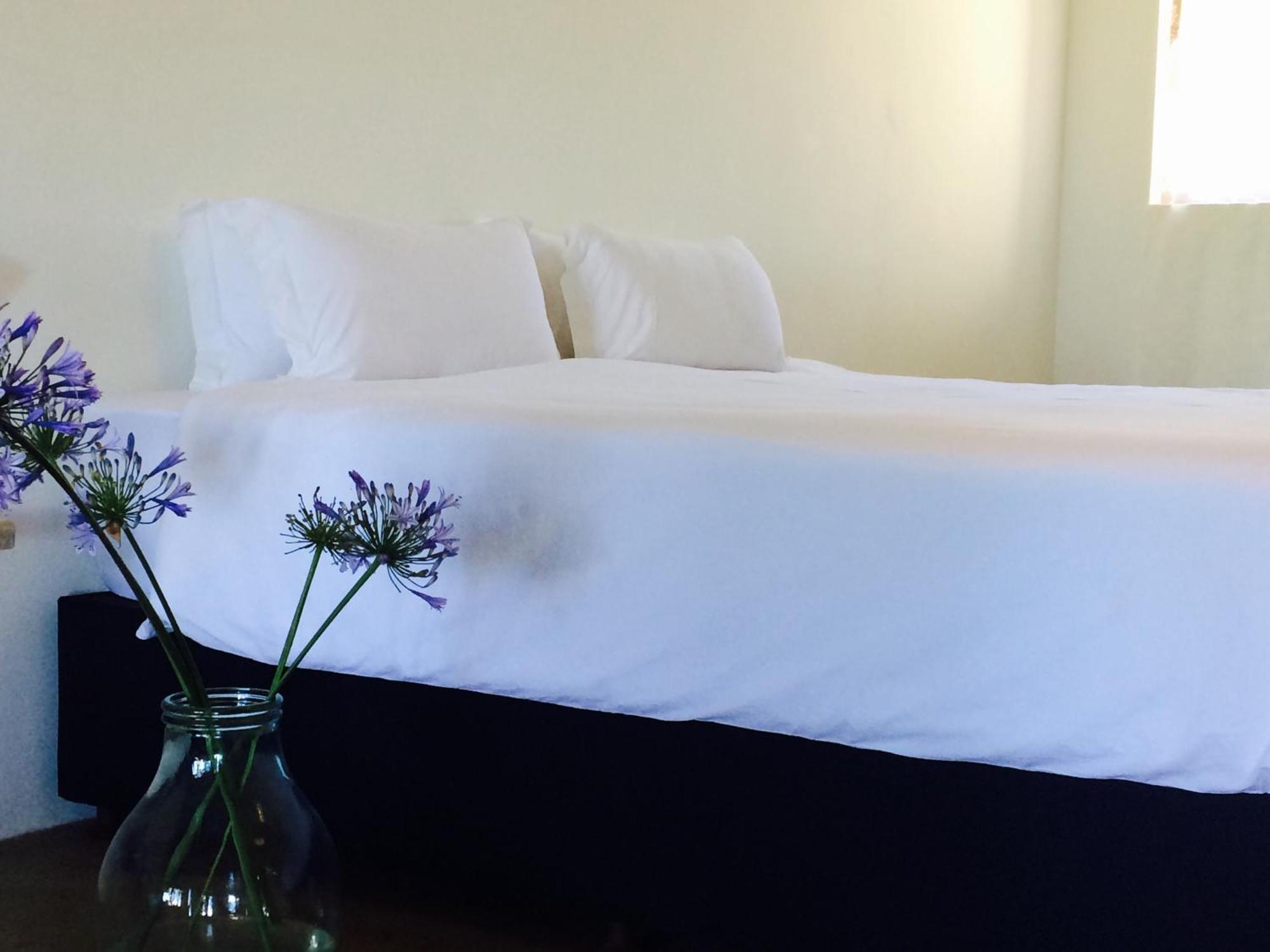 Seven Fountains Farm Hotel Grahamstown Buitenkant foto