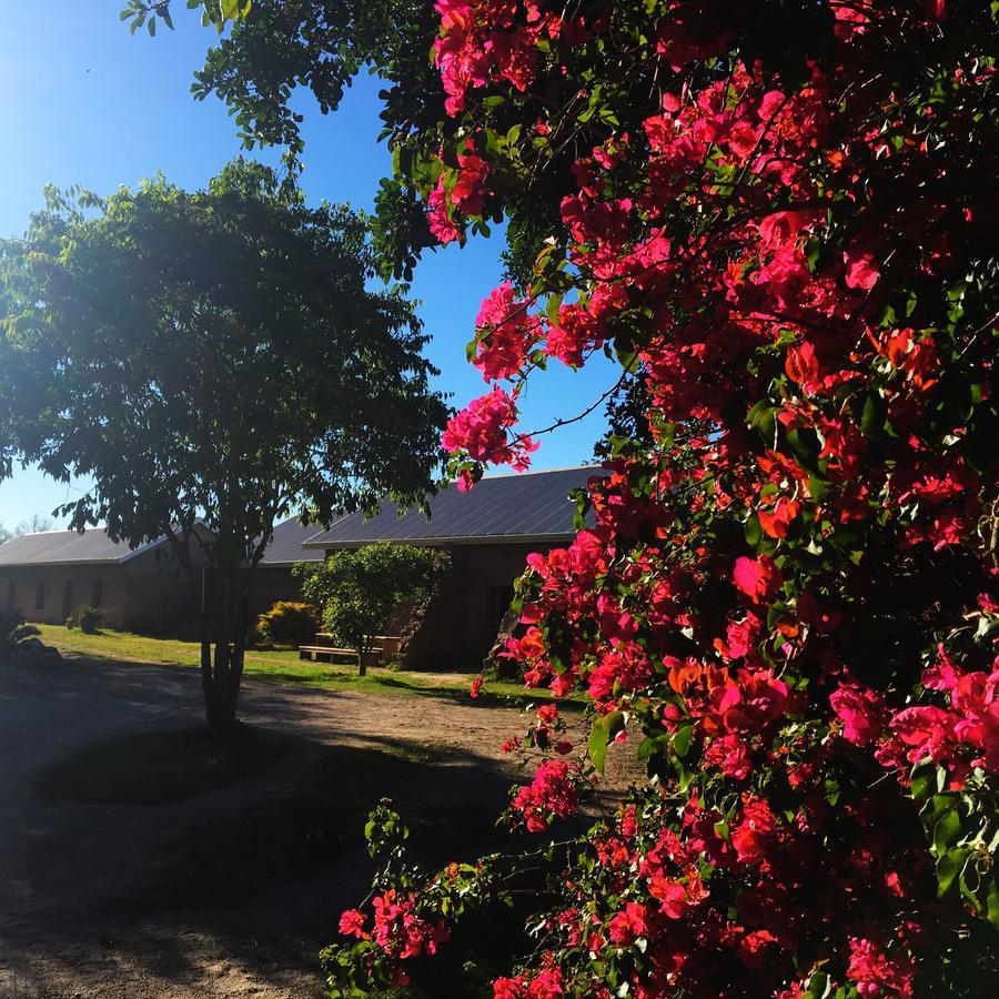 Seven Fountains Farm Hotel Grahamstown Buitenkant foto